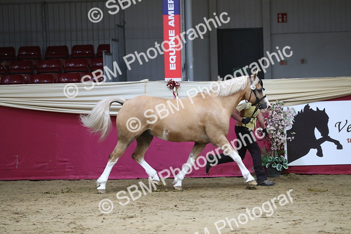SBM_06282 - Class 9R Regional- IH Pre Vet