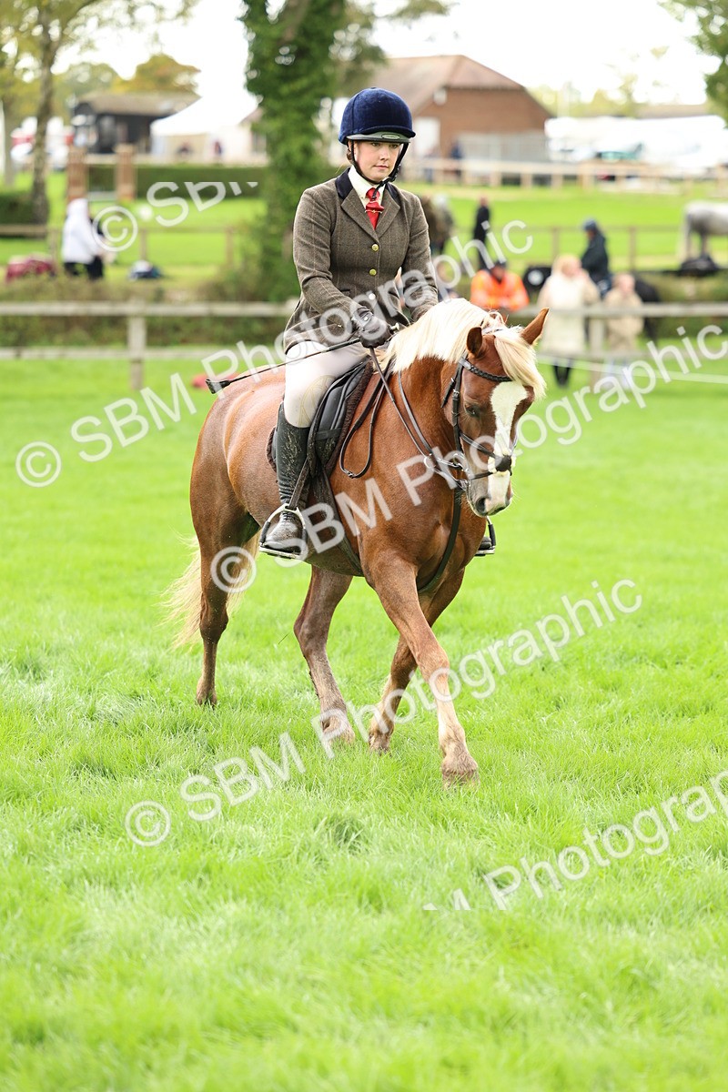 SBM_41849 - S32 - Mountain & Moorland Working Hunter Pony