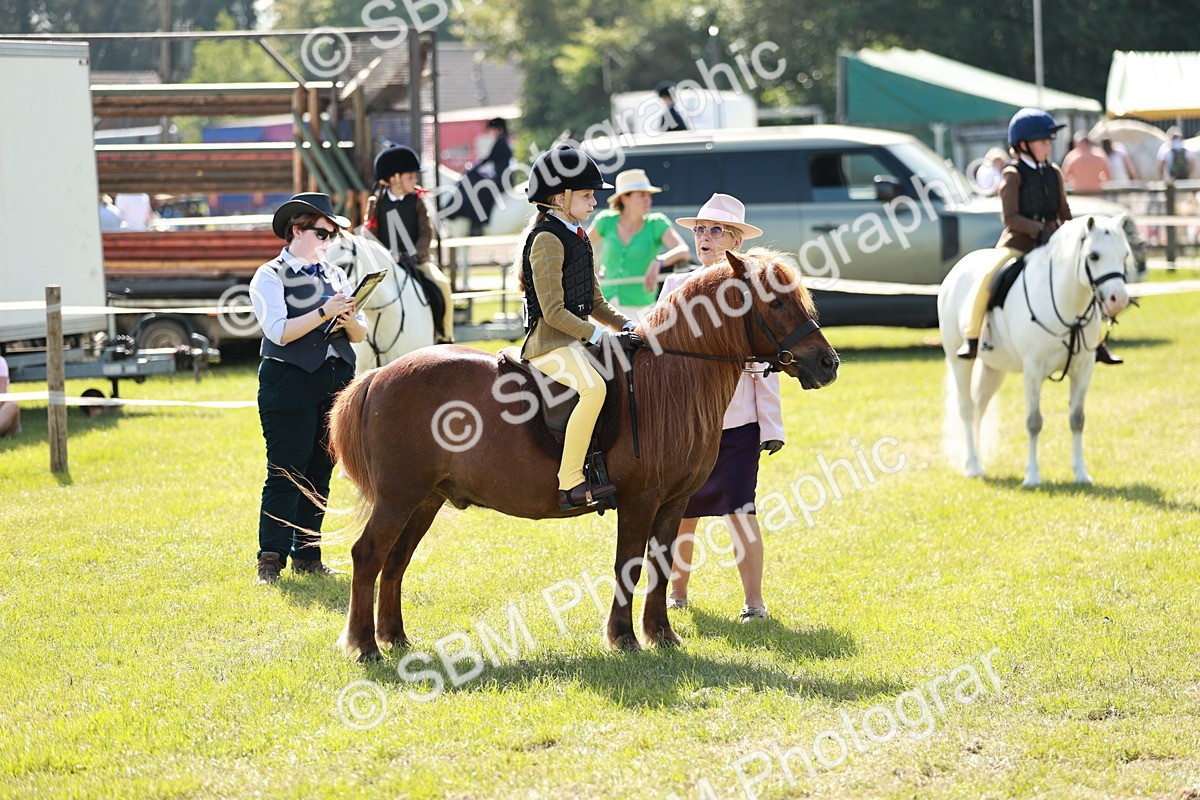 SBM_12720 - Class 106-107 - BSPS LIHS Working Sports Pony