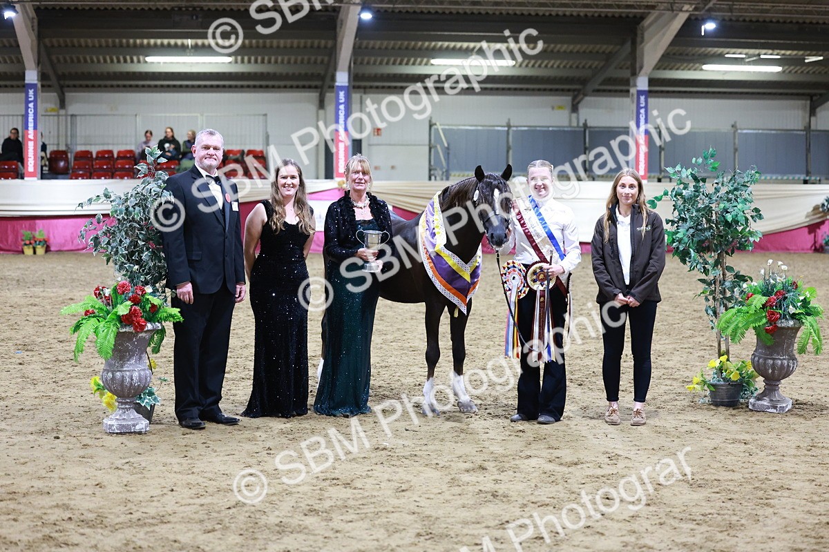 SBM_21077 - Class P - M&M Champs