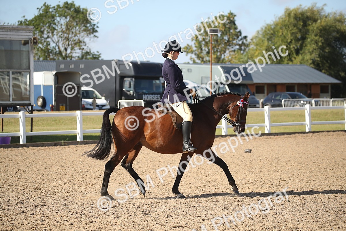 SBM_22797 - Class 602 - 2026 Area - Ridden Veteran