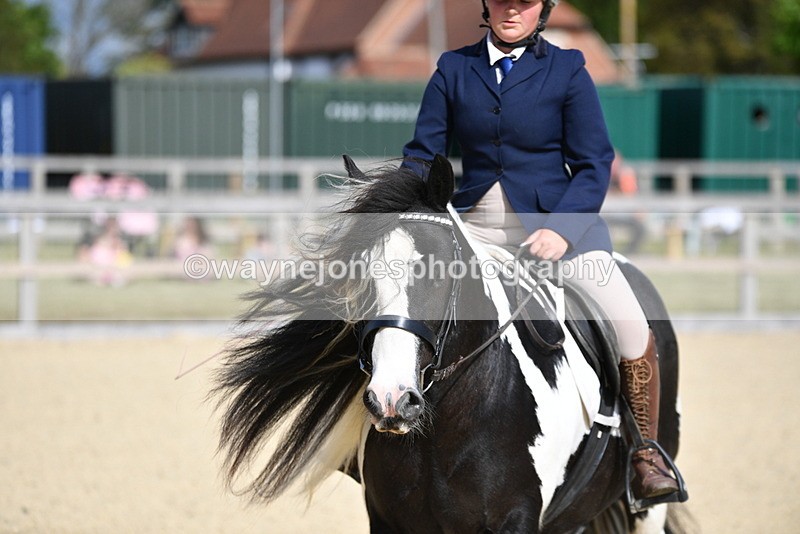 WJ5_7800 - Time 16:40 to 16:55