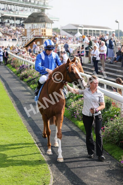 yr05092021r3-1 - Race 3 3.15pm The BioWaveGo Garrowby Stakes