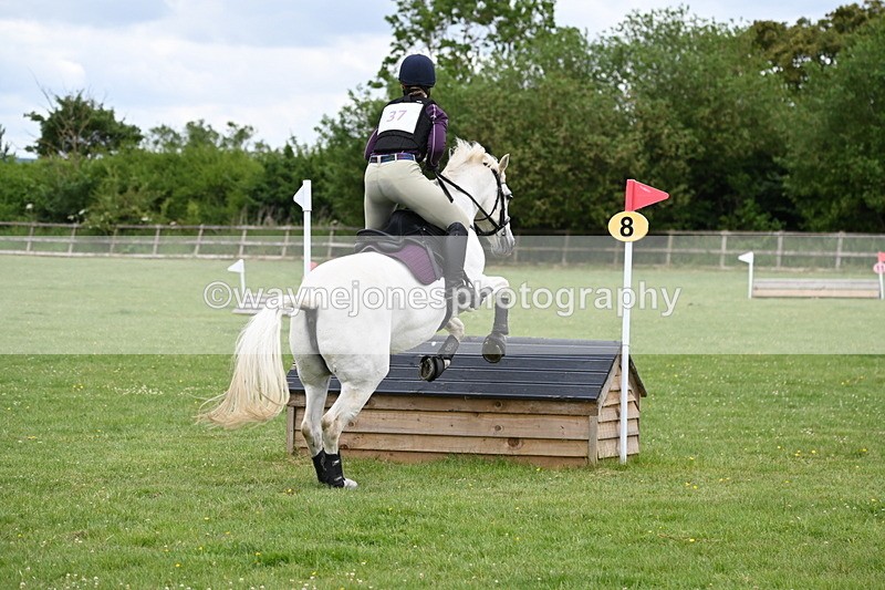 WJ6_3711 - Class 6 80cm