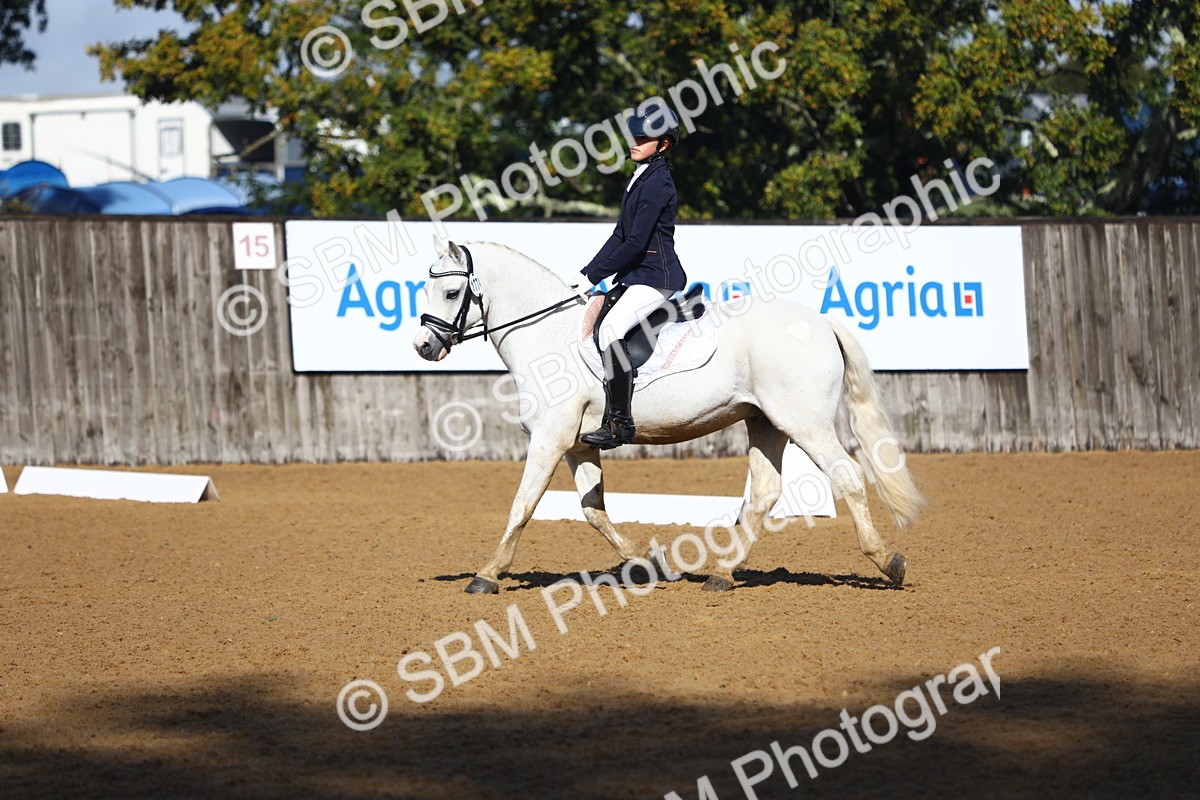 SBM_38969 - D21 - Junior Championship Intro 1