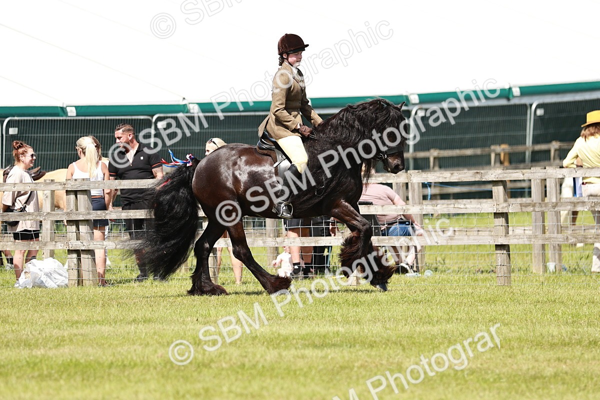 SBM_07125 - Class 26-30 - Mountain and Moorland Ridden