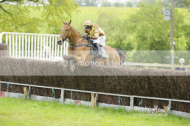 PtP 020522 147 - Mollington Races Point-to-Point 02/05/22