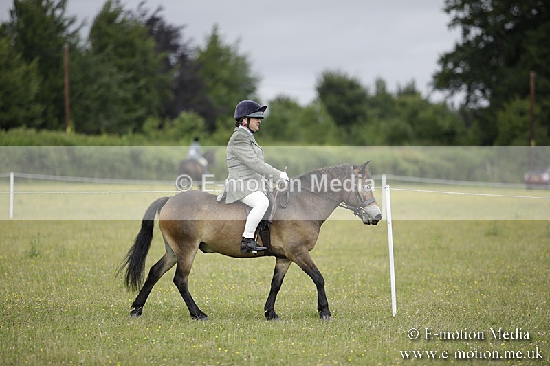 BVR160717-1286 - Ring 1 BVRC Show 16/07/17