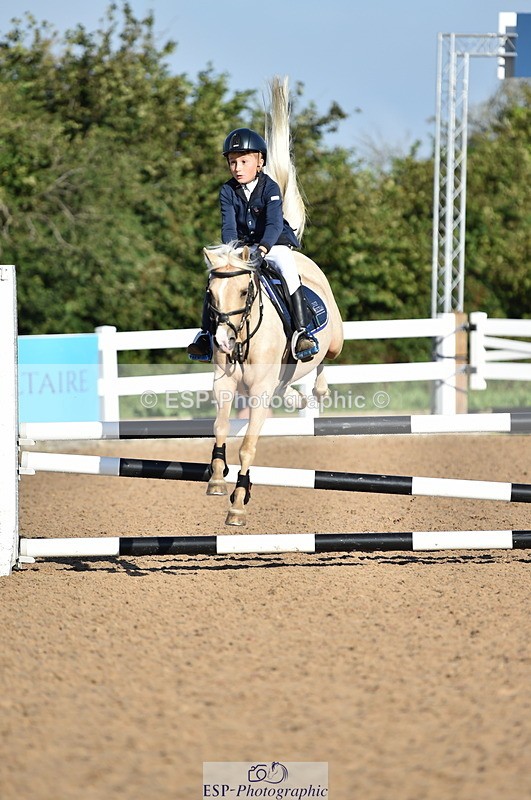 230903A-090814-03445 - Cls 17 Pony Intro 75cm