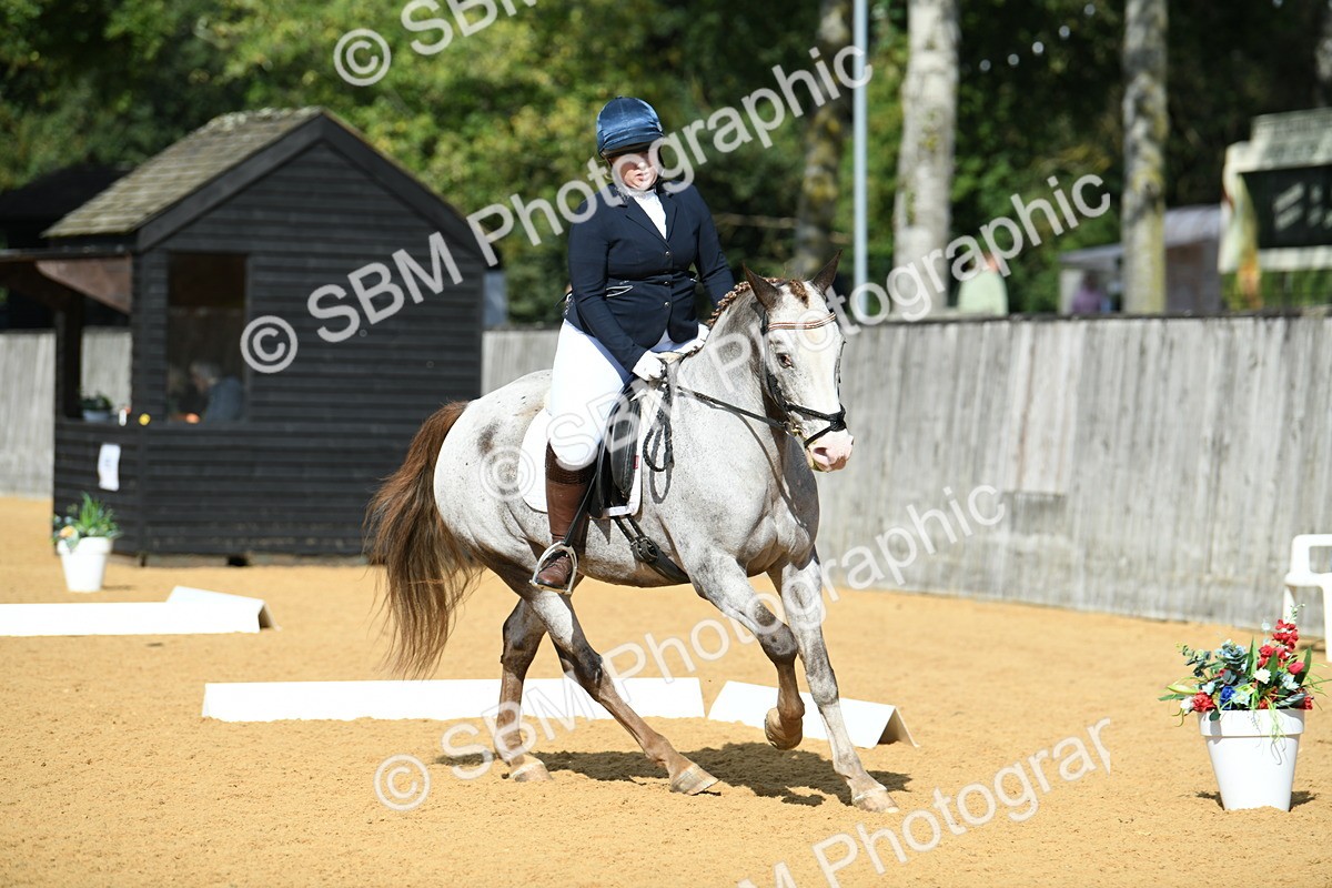 SBM_09809 - D15 Small Tour Championship Novice 24