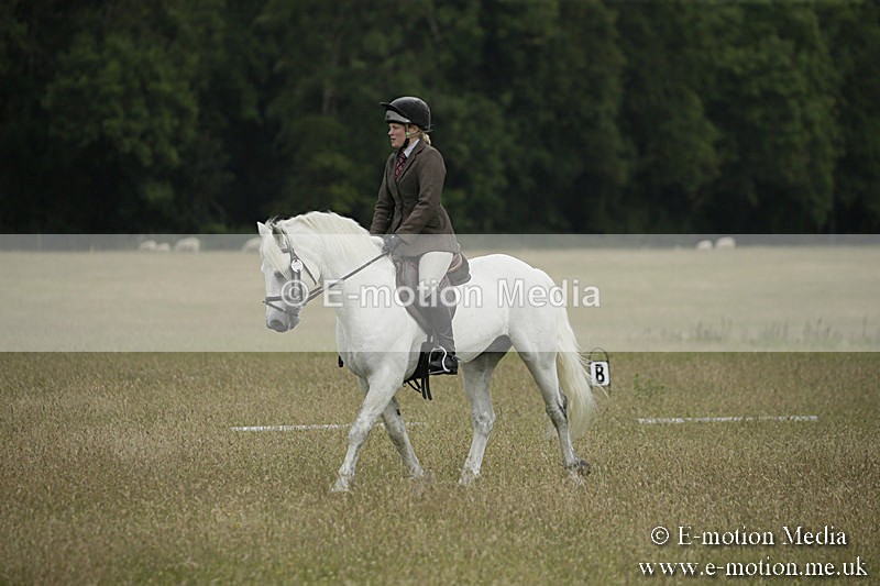 B230619-0352 - Bourne Valley Riding Club Summer Show 23/06/19