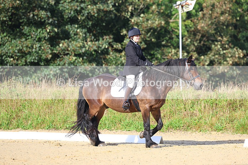 3E7A1853 - Class 1: Intro 4 2024 section A