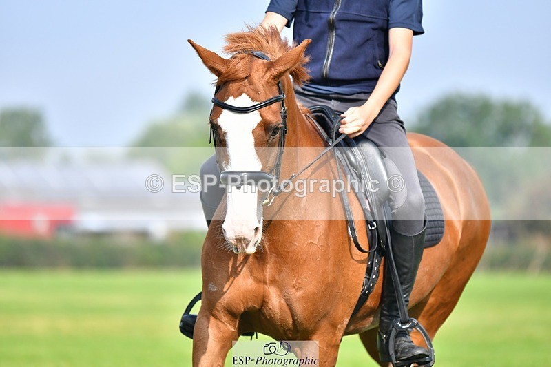 230817-093543-02603 - Abbie's 1st Group - Dressage