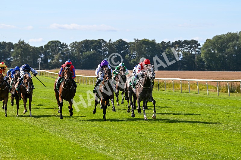 160924-Race 2-Magic Love-2624 - Race 2