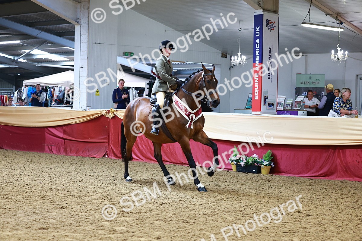 SBM_23234 - Class 905 - Supreme Final - Ridden Veteran