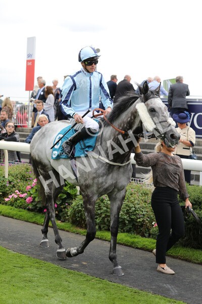 yr18082022r3-8 - Race 3 3.00pm Clipper Logistics Stakes