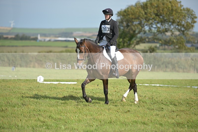 RAY_8019 - Class 2B: Trekenning Open: Dressage
