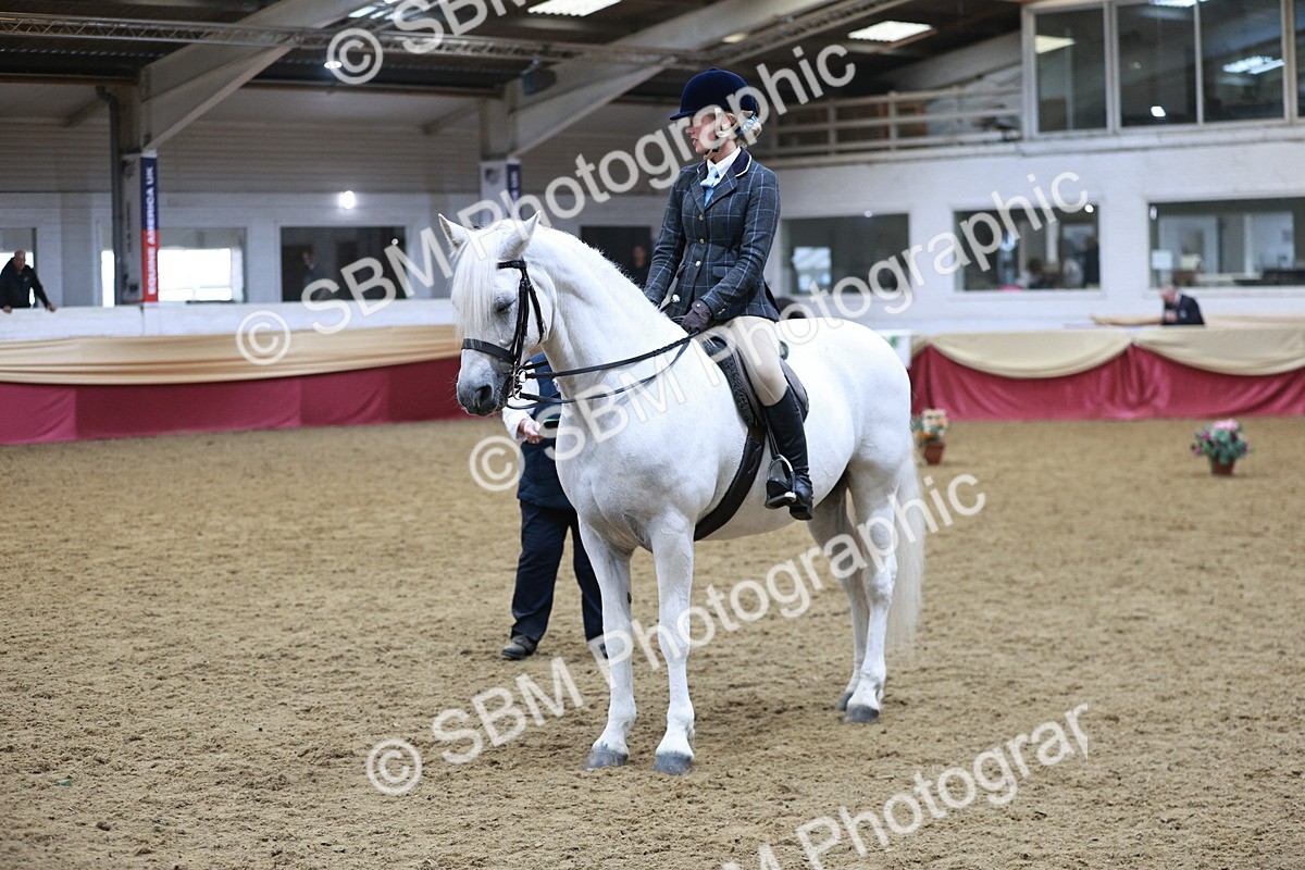 SBM_08888 - Class 12R - Regional Ridden Pre-Vet