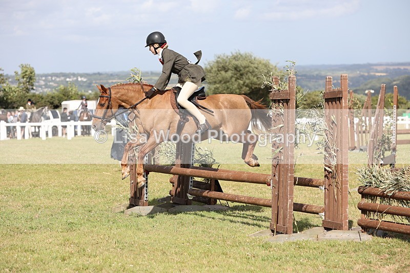 JPP_2727 - Class 20: Working Hunter 70cm