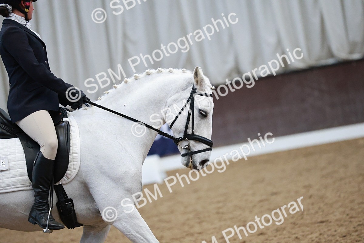 SBM_004498 - Ring 3 - International -  Working Hunter Classes 23-2-25
