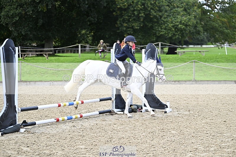 251005A-091116-02974 - Cls 02 GR 50cm