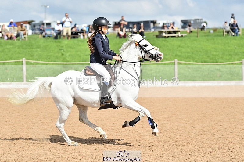 230902A-130814-01330 - Cls 3A Pony Medium 80cm