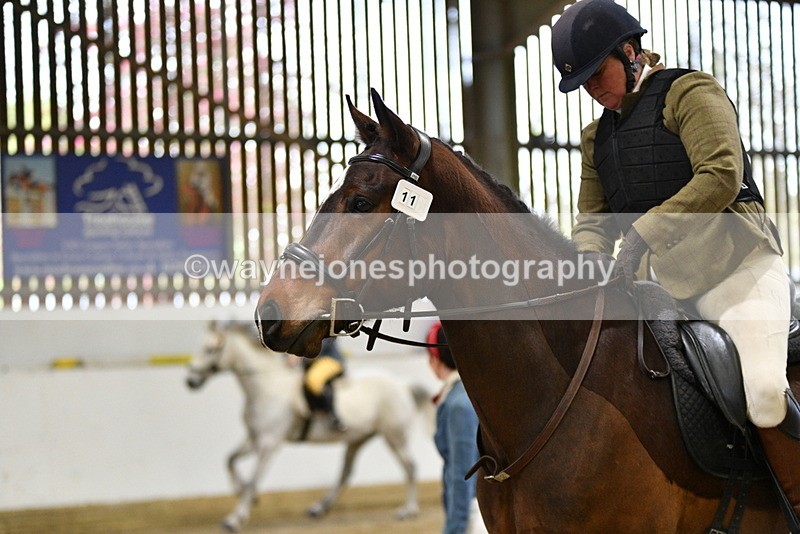 WJ5_7934 - Class 13 Ridden Part Breed