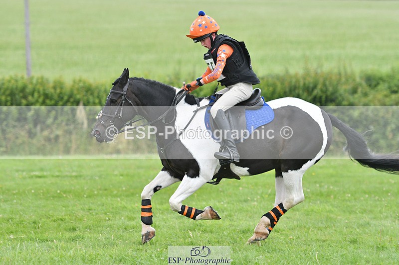 240804-144244-15110 - 555-Jack_Wish-WESTERLAKE_BUTTONWEED