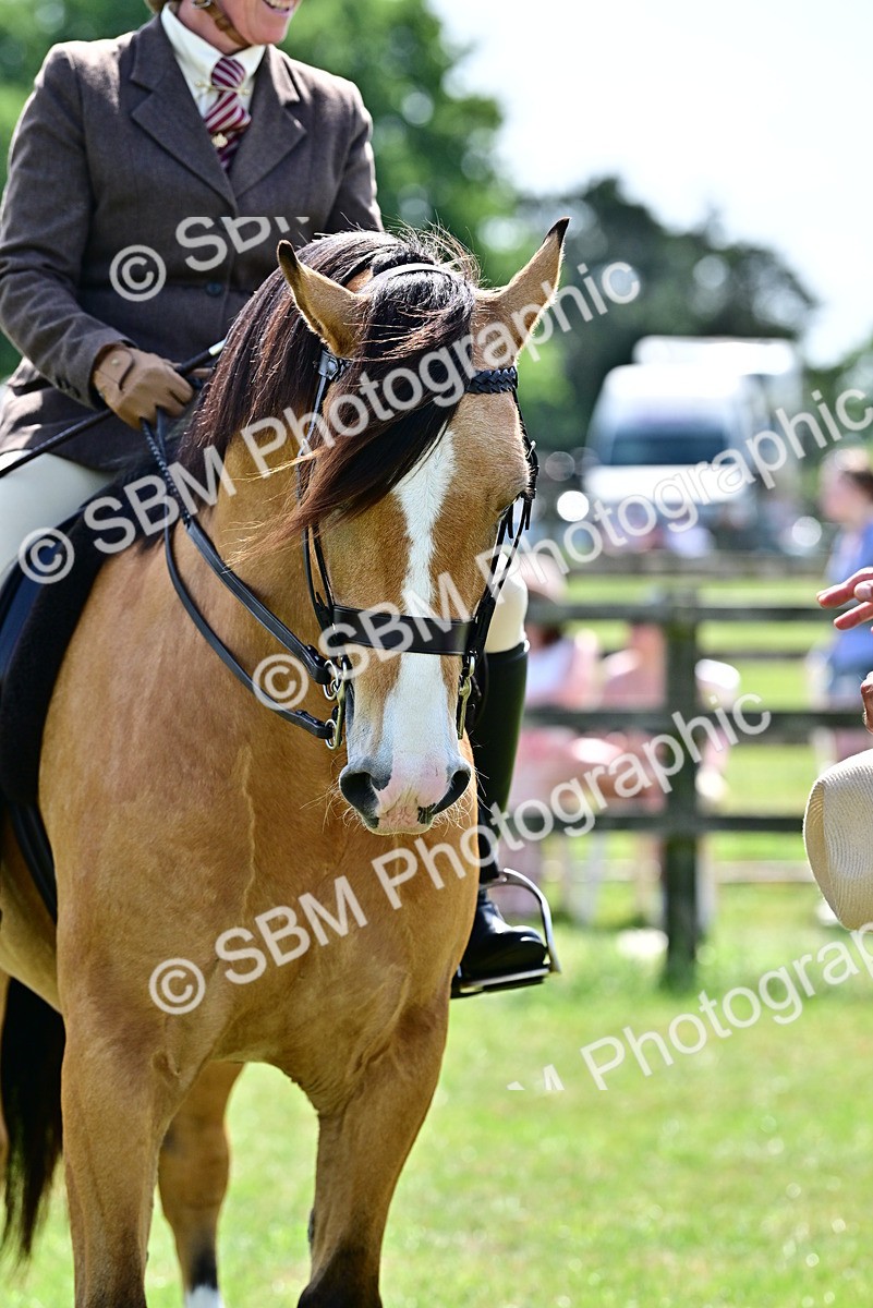 SBM_08149 - Class 61-62 - TSR  M&M Ridden Amateur of the Year