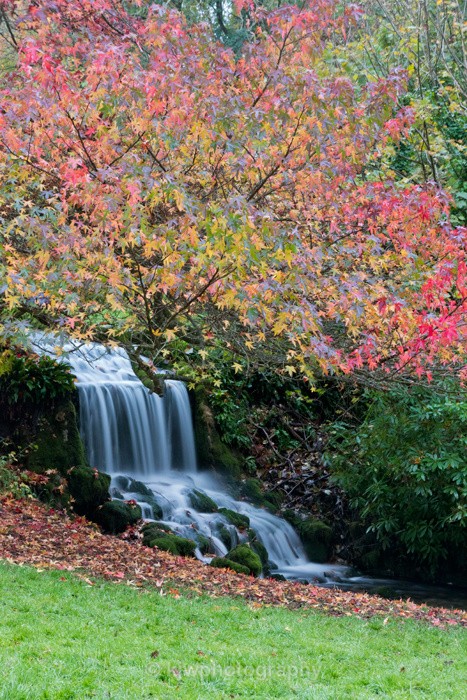 Autumn Colour - Gallery 9