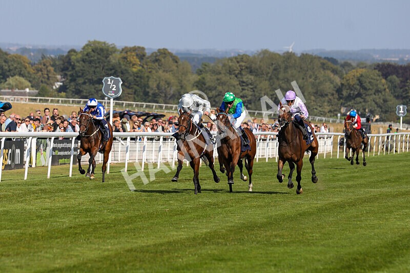 310824-Race 5-Bassadanza-1797 - Race 5