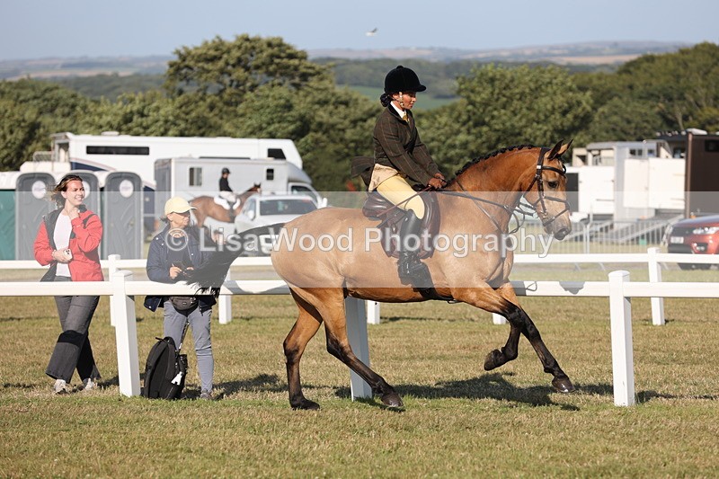 JPP_3295 - Class 21: Working Hunter 80cm