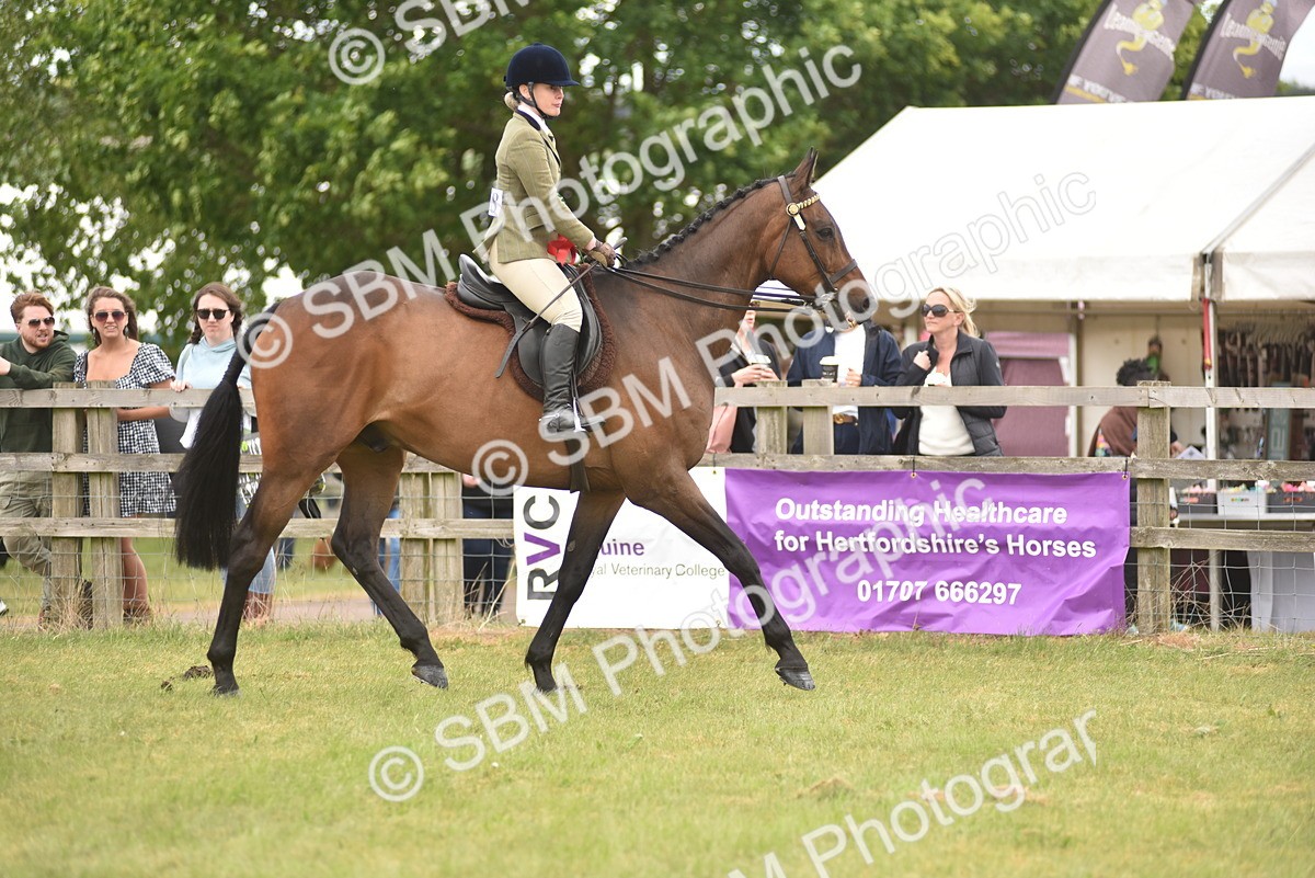SBM_14274 - Class 113-114 - Retraining of Racehorses Ridden