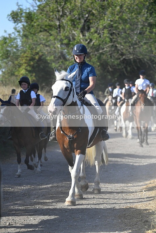 WJ5_4935 - Walk out with the hounds