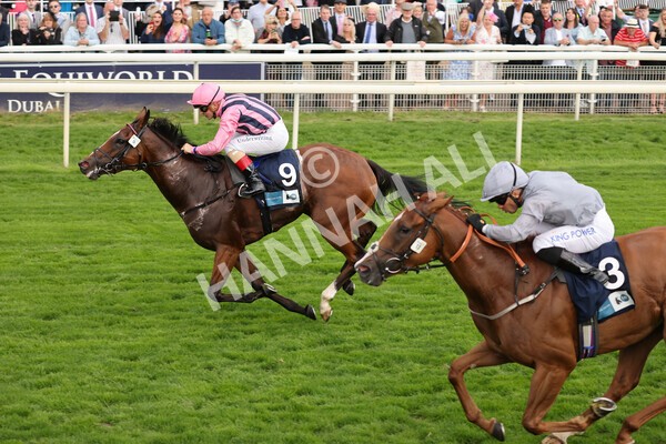 yr19082021r7-19 - Race 7 5.20pm British Stallion Studs EBF Fillies' Stakes