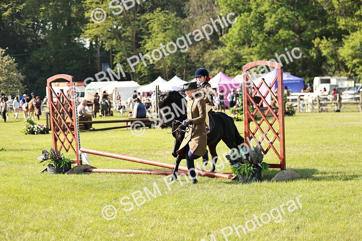 SBM_11275 - Class 106-107 - BSPS LIHS Working Sports Pony