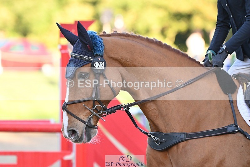 231022-090830-22819 - 223-RASCAL.ROULETTE-Charlotte.Byrnes-SJ