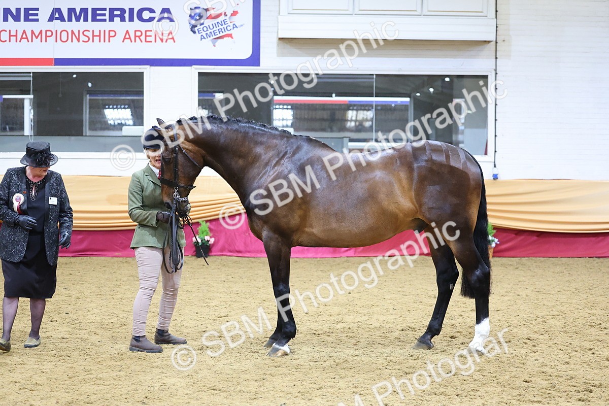 SBM_20852 - Class 902 - Supreme Final IH Veteran