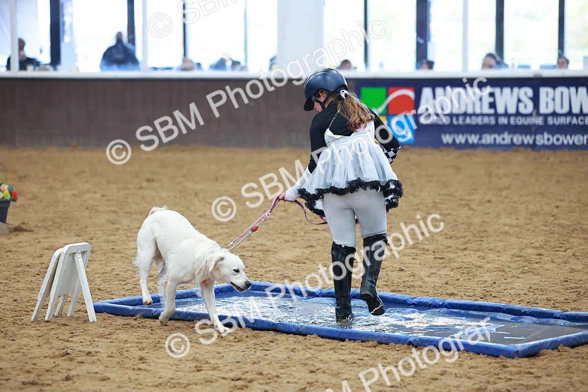 SBM_001677 - Class 3 - Horse & Hound (60cm)