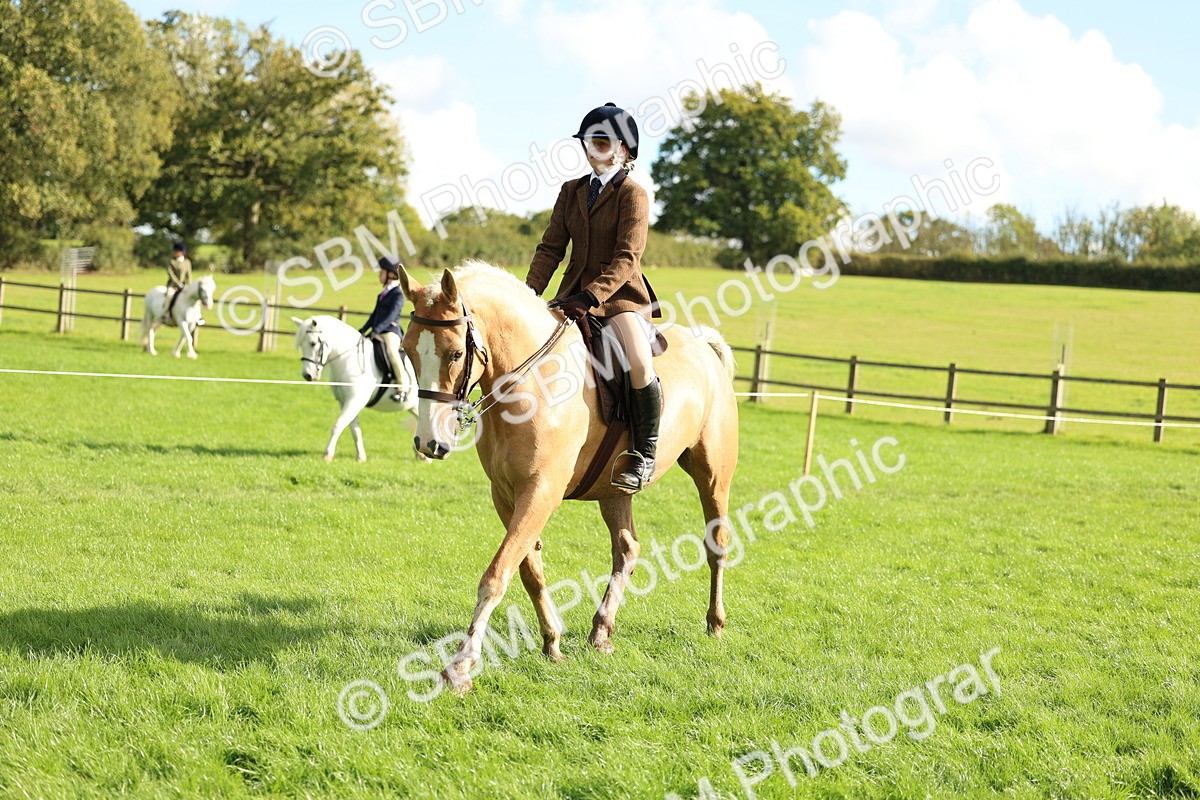 SBM_50070 - S34 - Novice & Newcomers Working Hunter