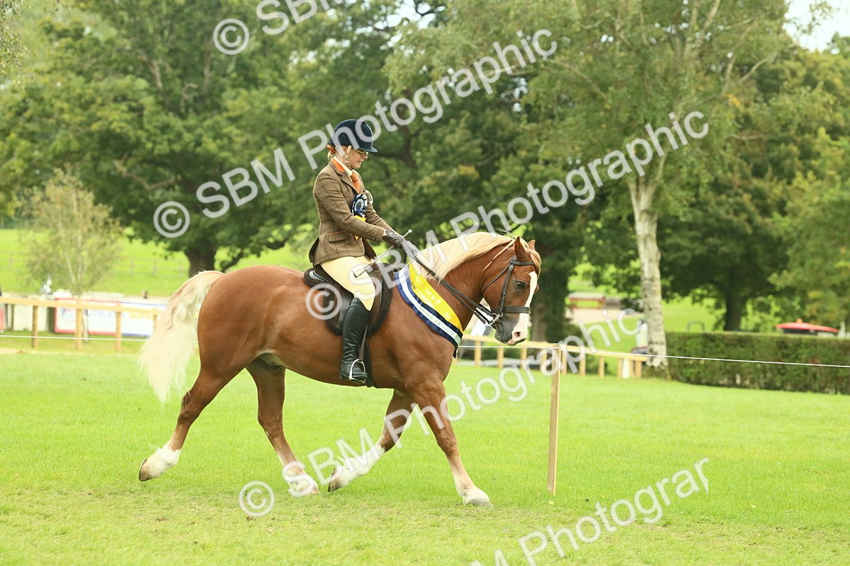 SBM_75123 - Ridden Pony Supreme Championship