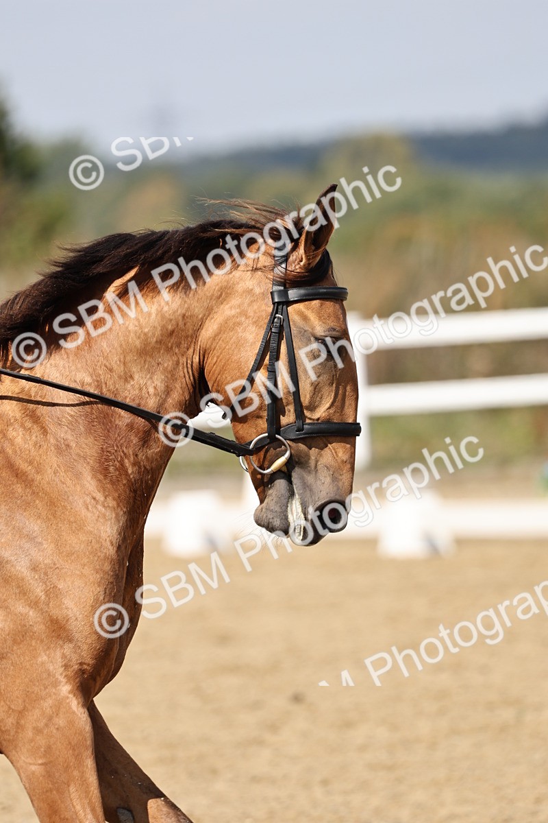 SBM_018652 - Class 16 - Novice 5 - 12.08-13.11