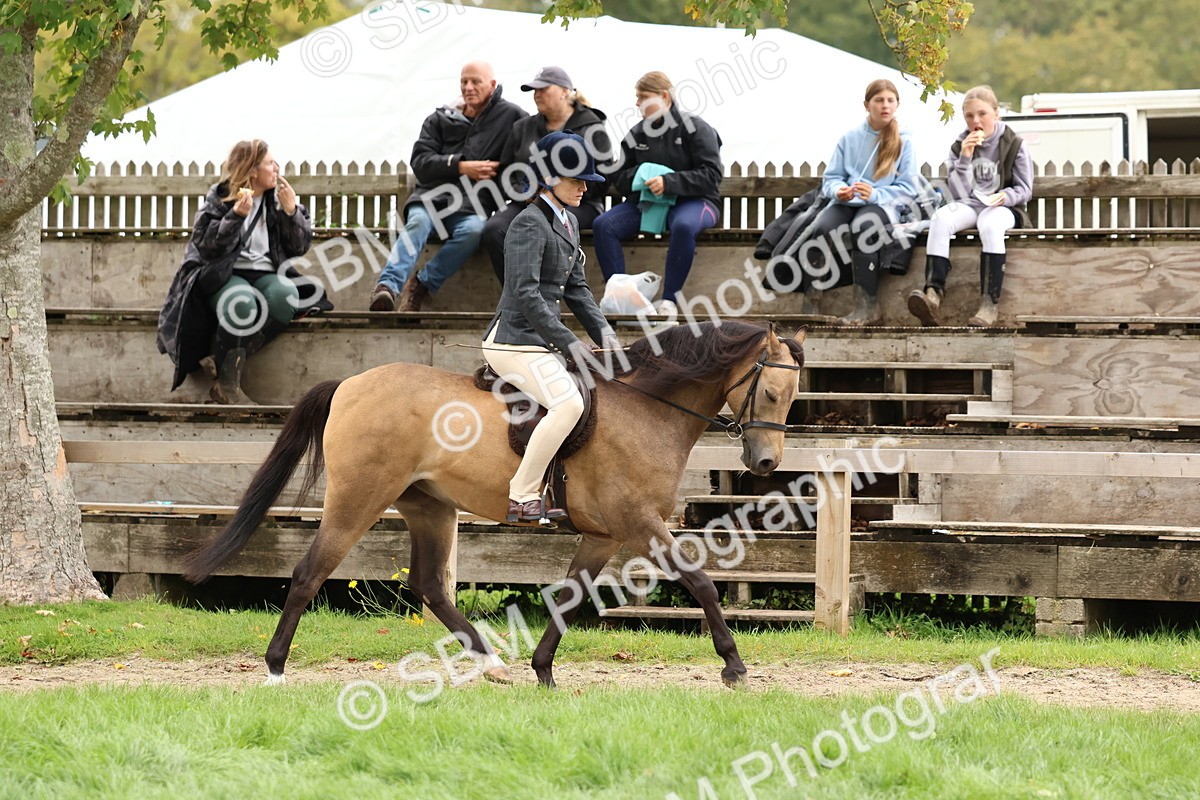 SBM_67372 - S61 - Mountain & Moorland Ridden