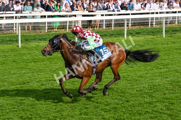 170524-Race 6-Riot-8534 - Race 6 4.45pm Yorkshire Equine Practice Handicap