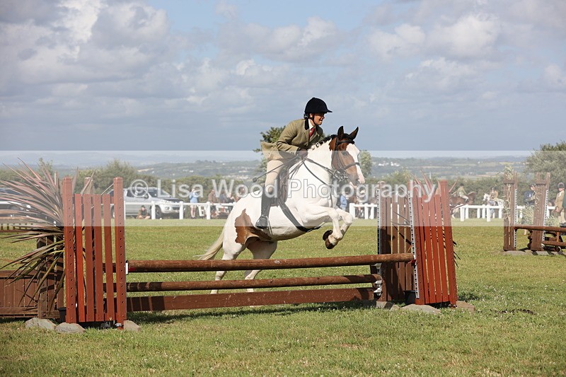 JPP_2794 - Class 20: Working Hunter 70cm