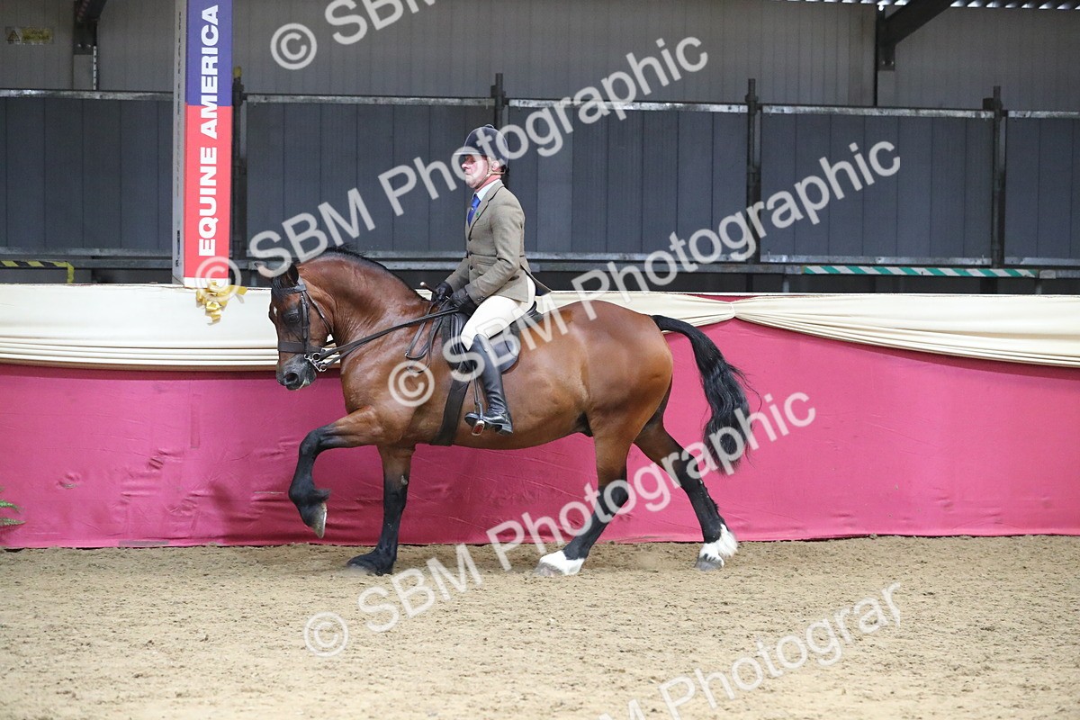 SBM_16390 - Class 502 M&M Ridden Supreme Final