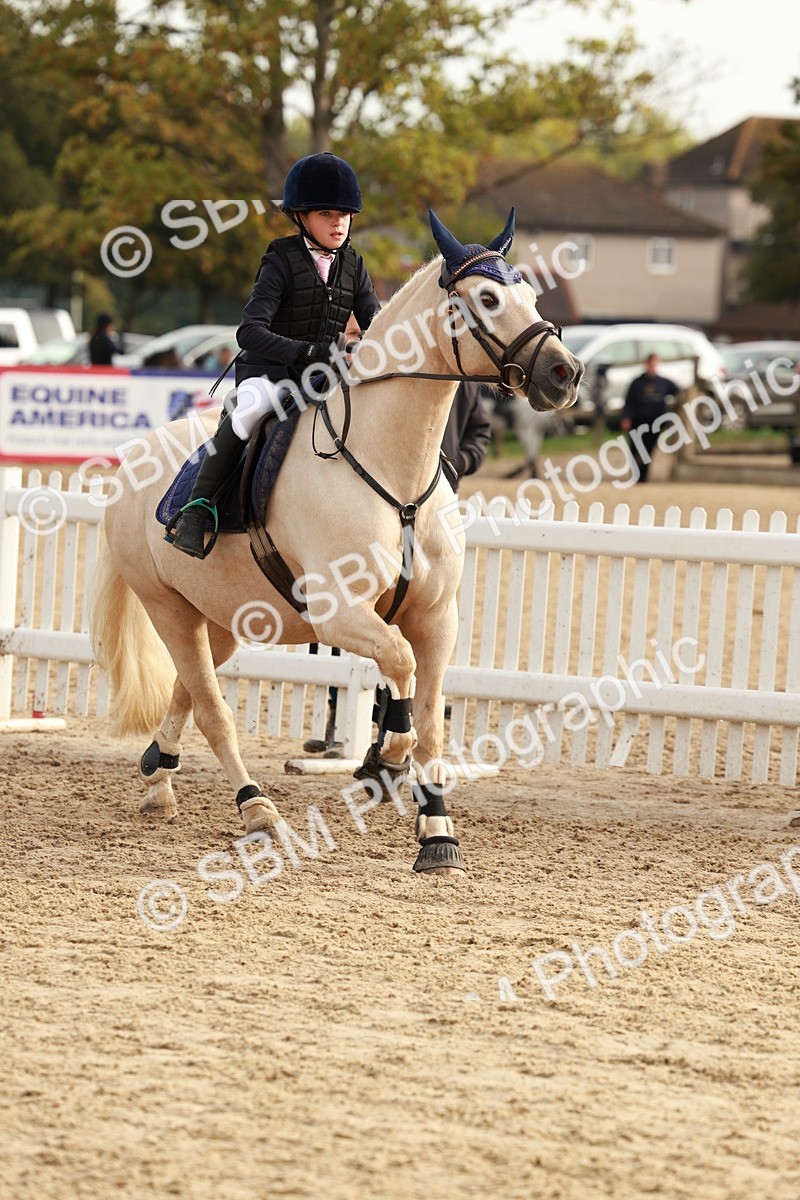 SBM_55723 - J11 - Junior Pony 50cm Championship
