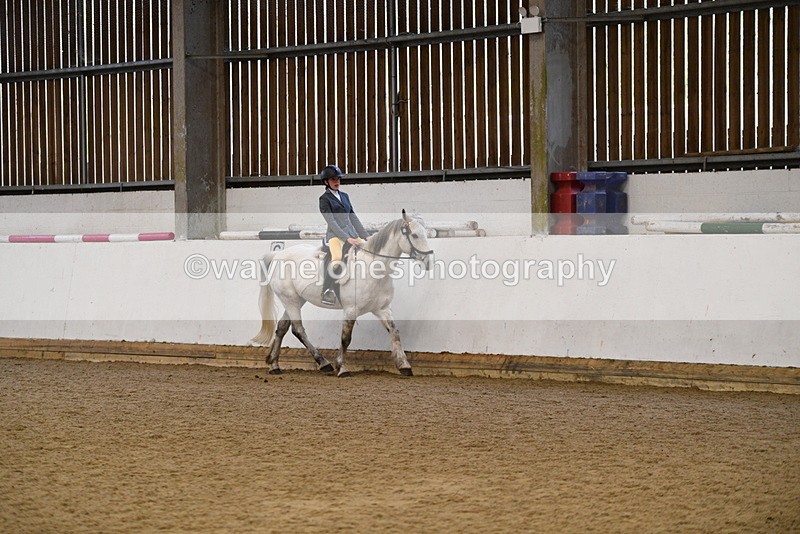 WJ5_7711 - Class 13 Ridden Part Breed