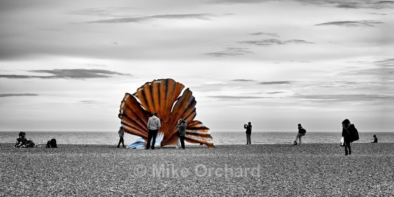 Sea Shell - Aldeburgh - Suffolk - Seascapes