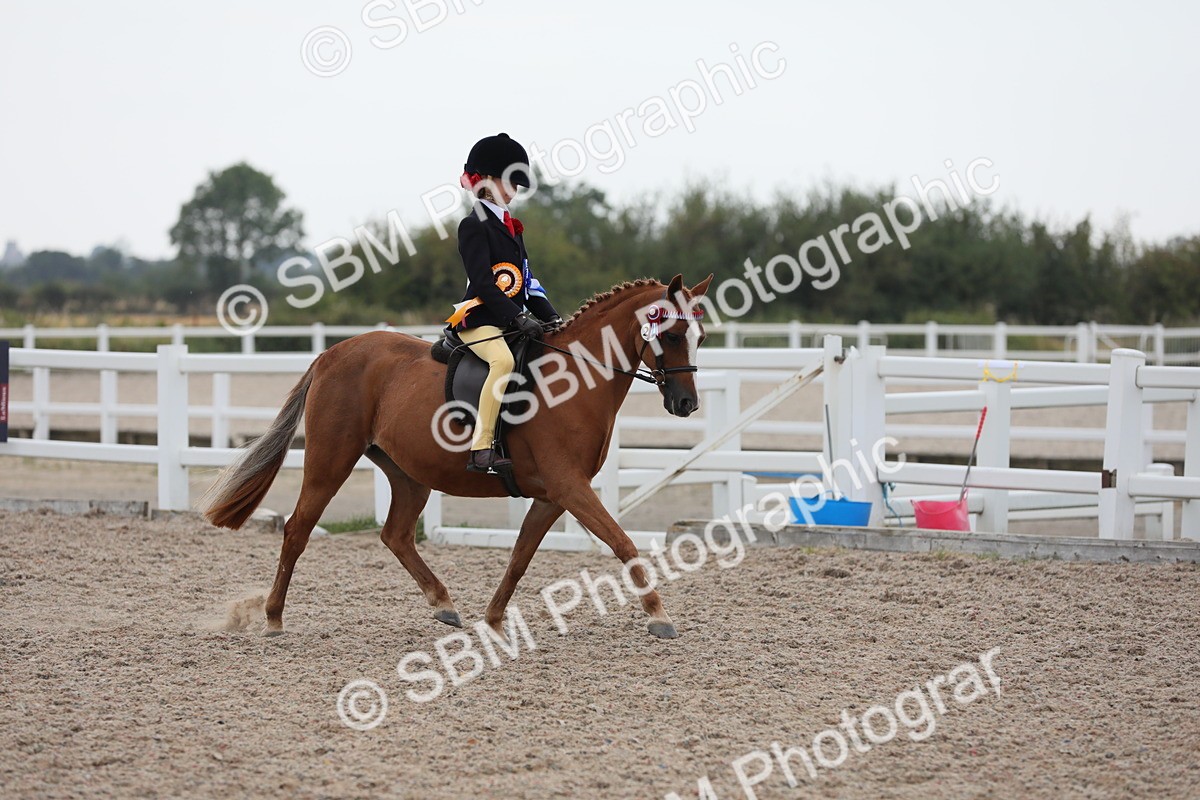 SBM_18265 - Class 316 Best Pony/Rider Combination
